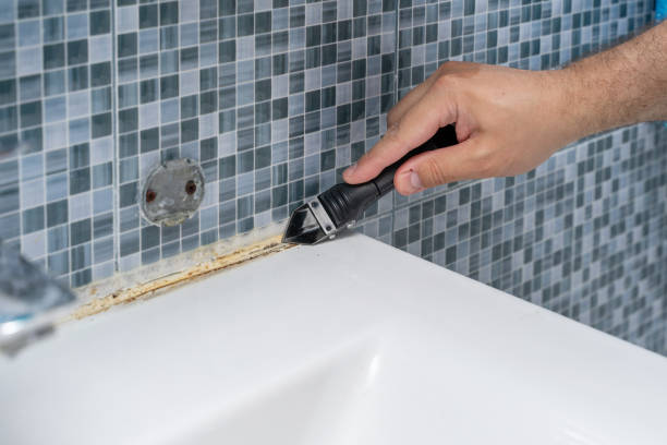 Best Toxic Mold Removal  in Watsontown, PA